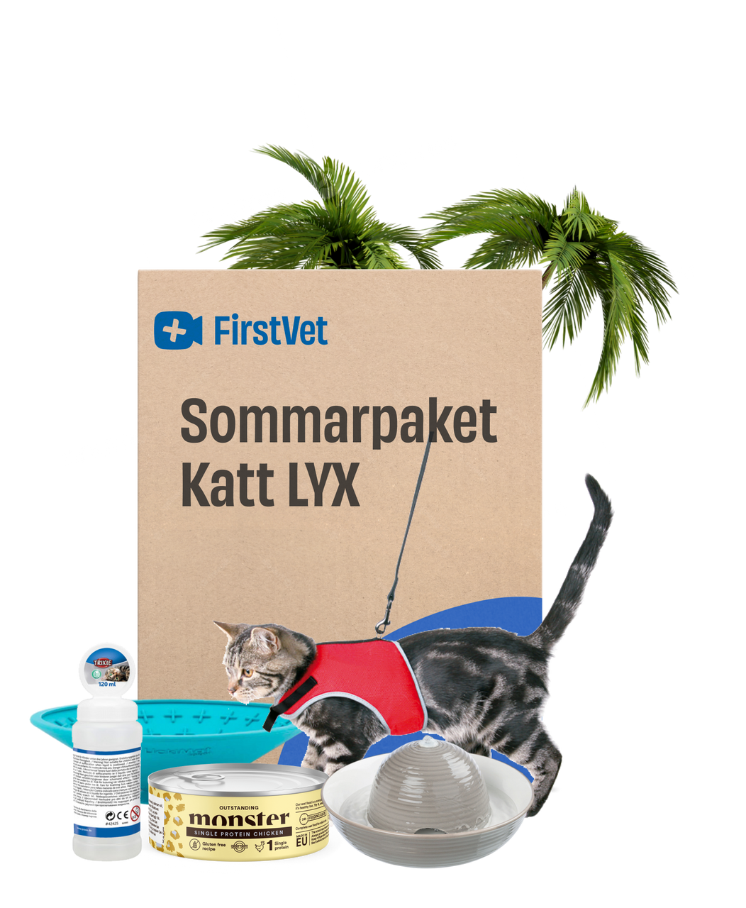 Sommarpaket Katt LYX