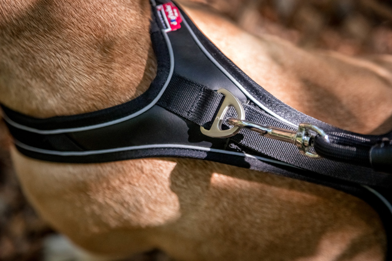 Adjustable Leash Nylon Vävt Justerbart Hundkoppel - Black Small