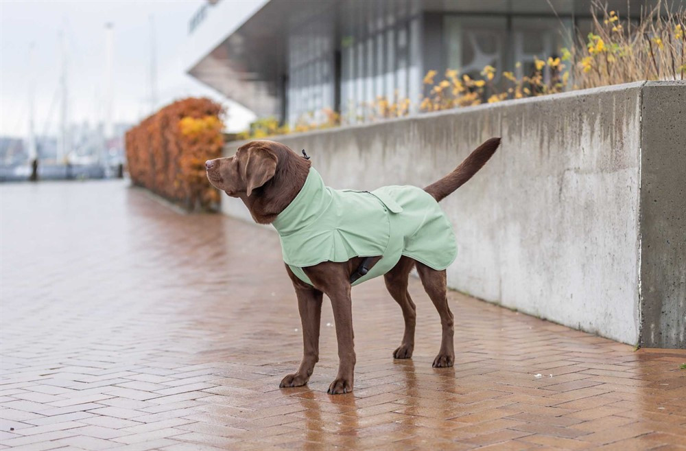 Dublin Regntäcke till Hund - 50 cm