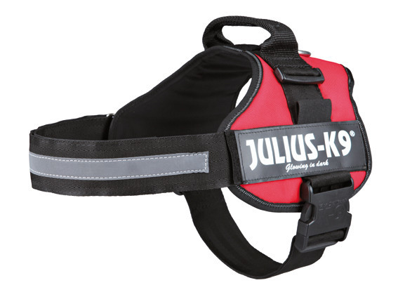 Julius-K9 Powersele Röd – 3/XL