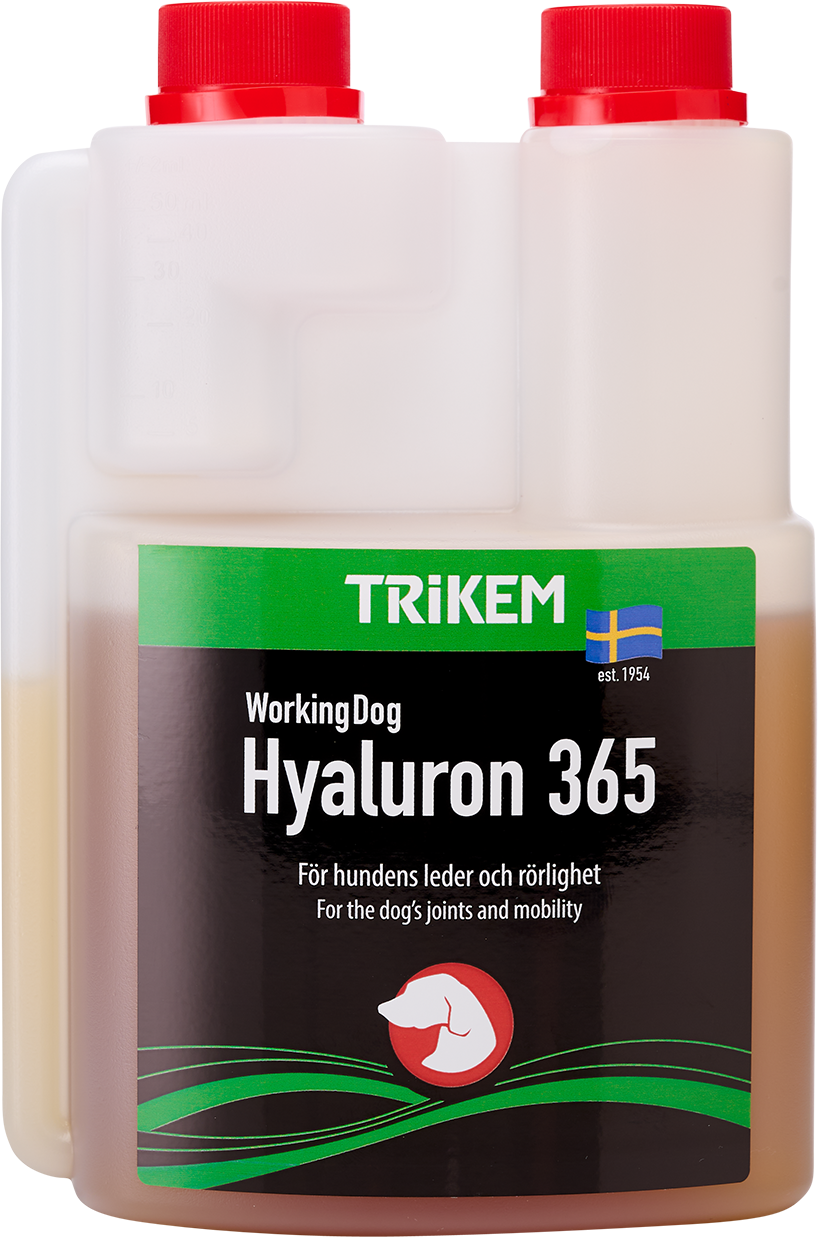 Working Dog Hylaruon Ledtillskott – 0,5 l