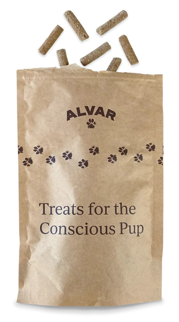 Alvar Pet Hundgodis Bug – 150 g