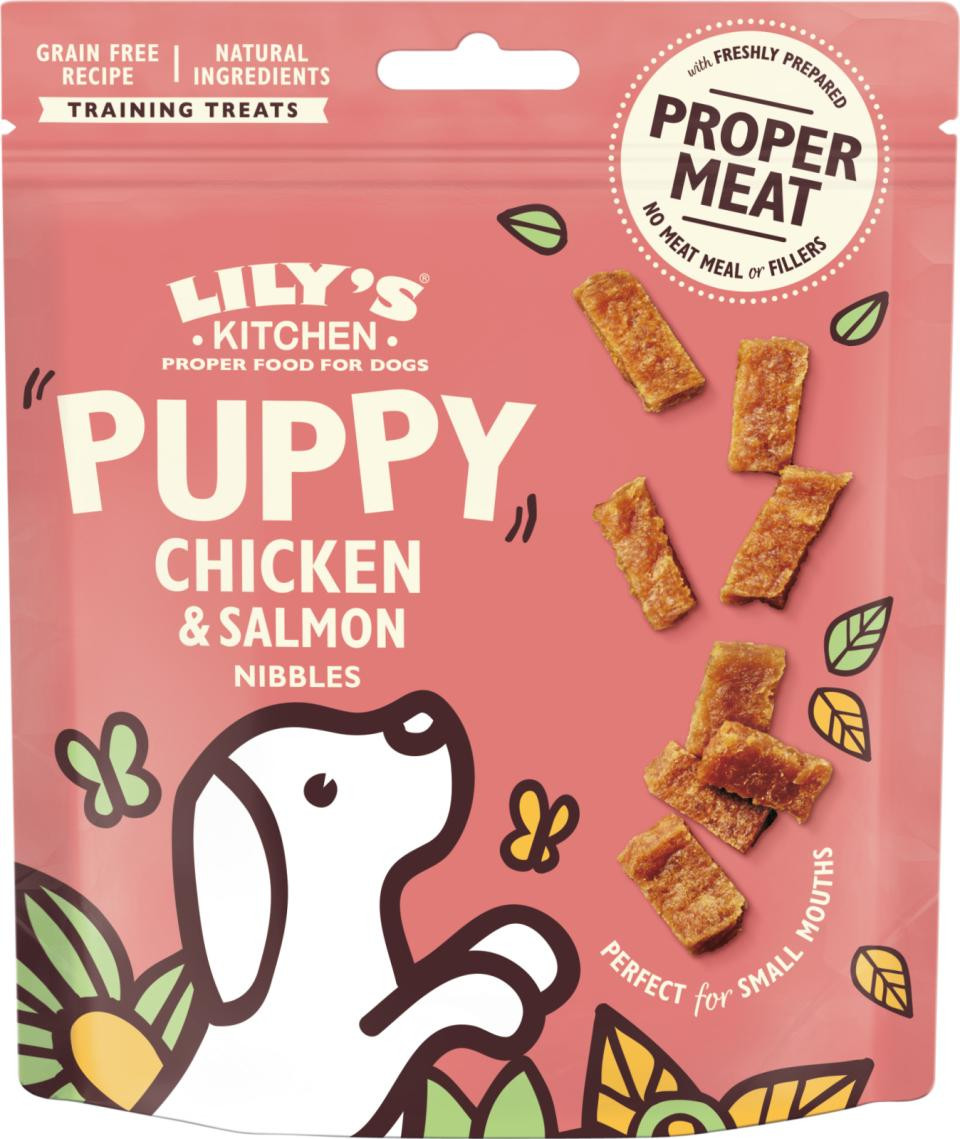 Chicken & Salmon Nibbles for Puppies Hundgodis för Valpar – 70 g