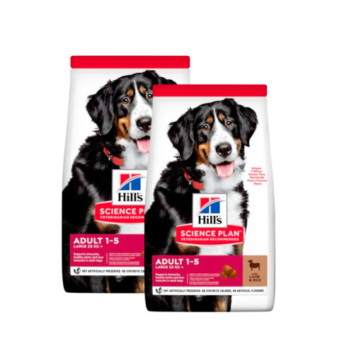 Köp 2 Adult Large Breed torrfoder med lamm och ris – Spara 20% – 14 kg x 2