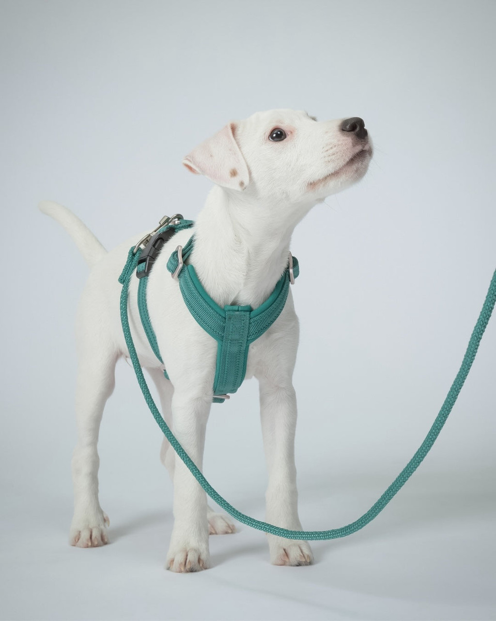 Visability Rope Leash Reflekterande Hundkoppel Emerald - 11 mm