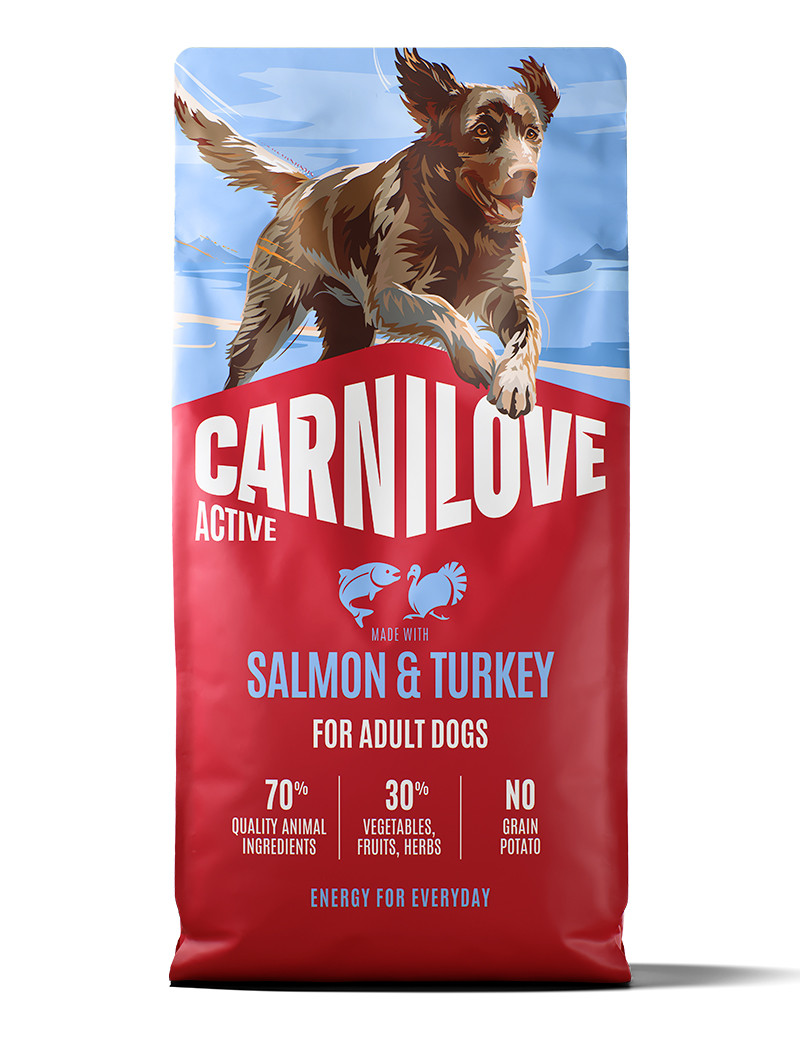 Salmon &amp; Turkey Adult Torrfoder f&ouml;r Vuxna Hundar - 12 kg