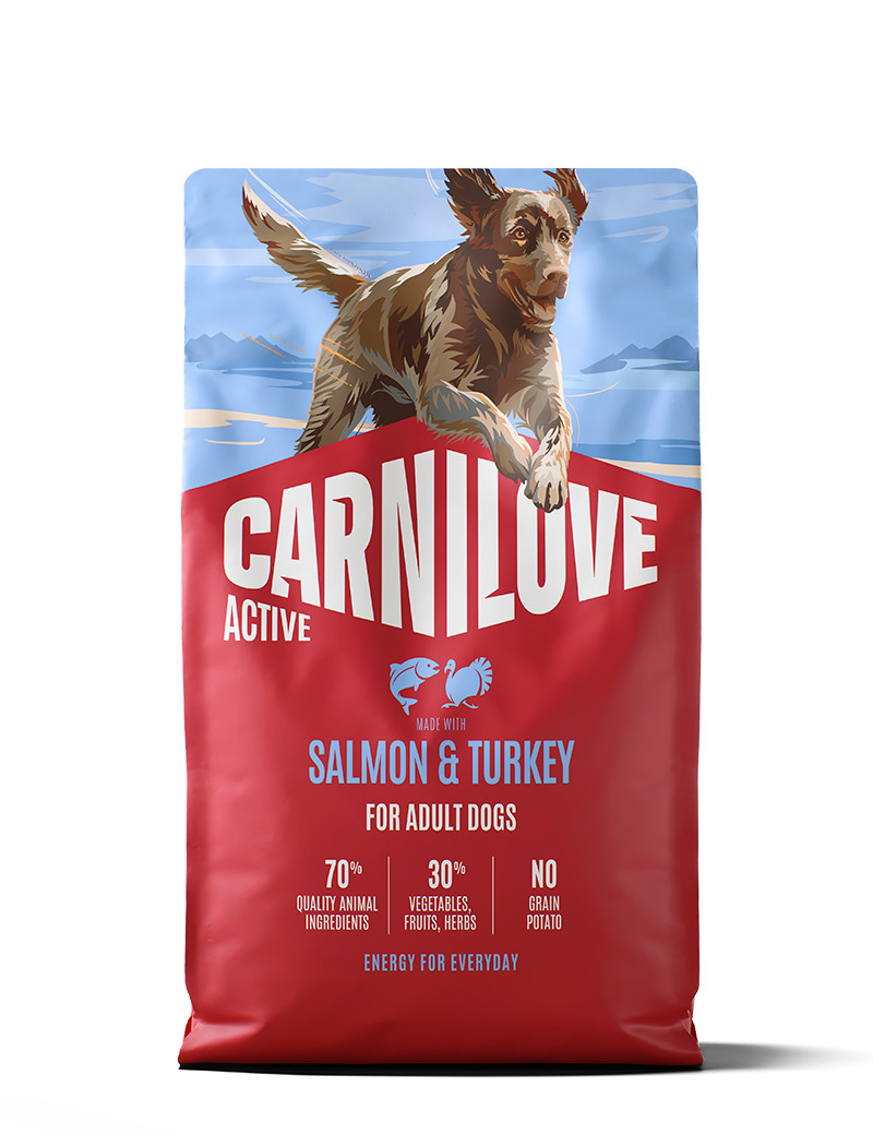 Salmon & Turkey Adult Torrfoder för Vuxna Hundar - 4 kg | Djurtyp - Hund - Hundmat - Torrfoder | DogStyle