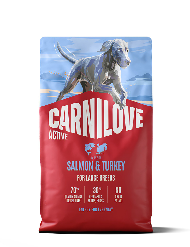 Salmon & Turkey Adult Large Breed Torrfoder för Hundar - 4 kg