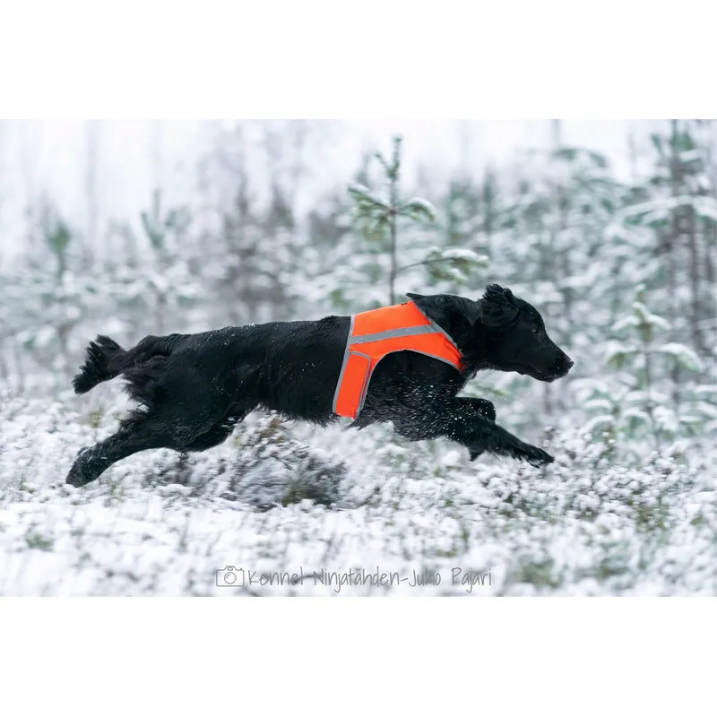 Atte Attention reflexväst till hund - Neonorange / M