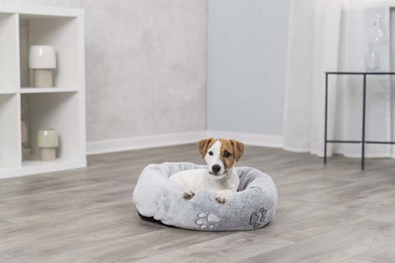 Nando hundbädd - Bädd