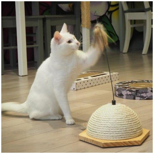 Kattklös med sisalrulle och fjäder - Klös