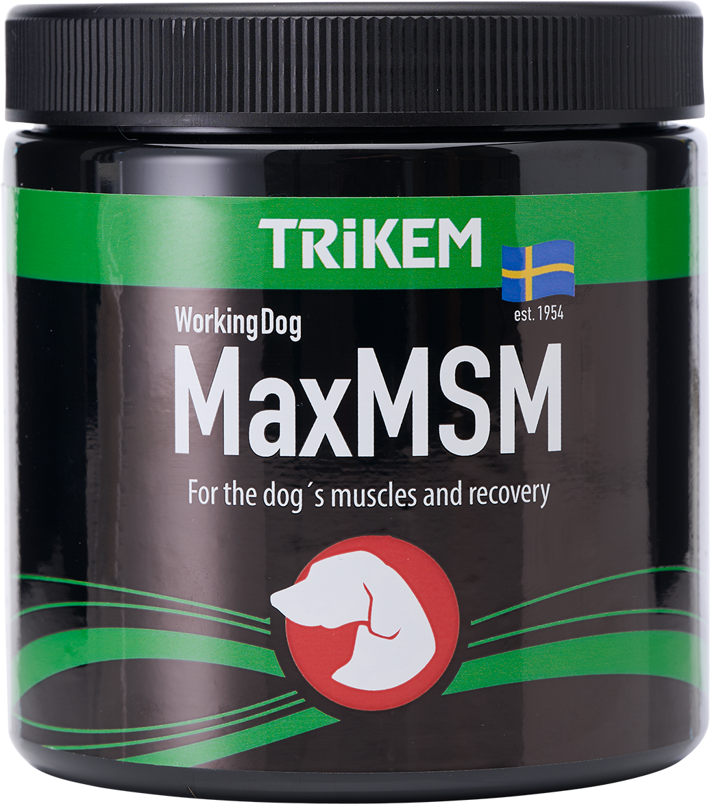 Working Dog MaxMSM fodertillskott - 450 g