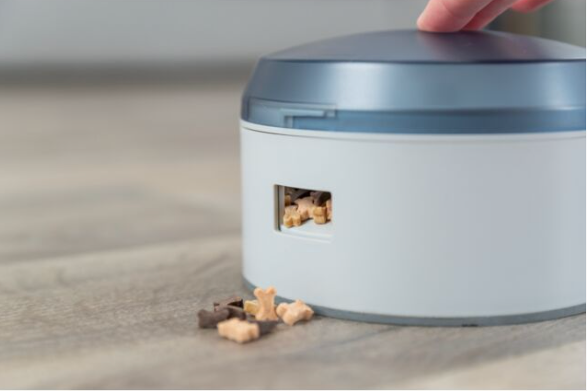 Dog Activity Buzzer, Nivå 1 Aktiveringsleksak - Blå/vit