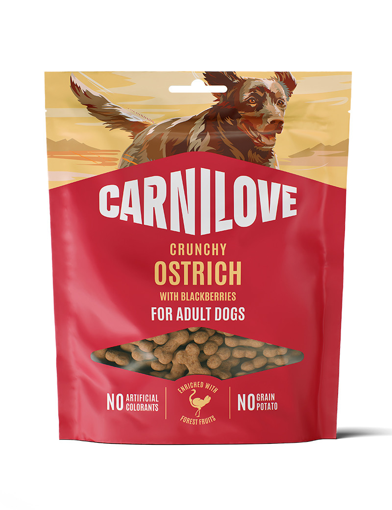 Crunchy Snack Struts & Bj&ouml;rnb&auml;r hundgodis - 200 g