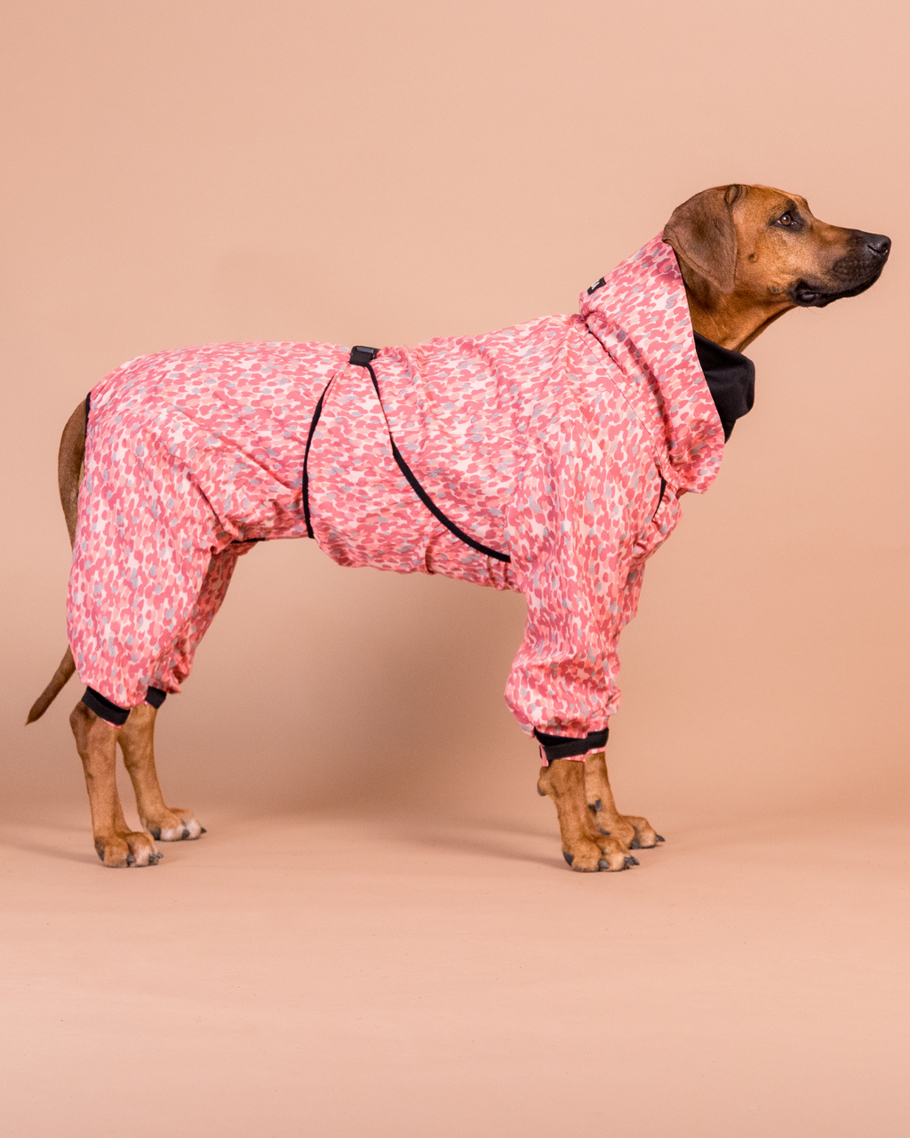 Regnoverall Hund, Röd - 65