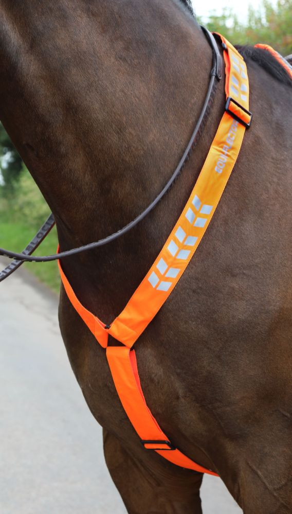 Equi-Flector Reflex till häst - Orange / P/C | Djurtyp - Häst - Utrustning - Reflexer och Lampor | DogStyle