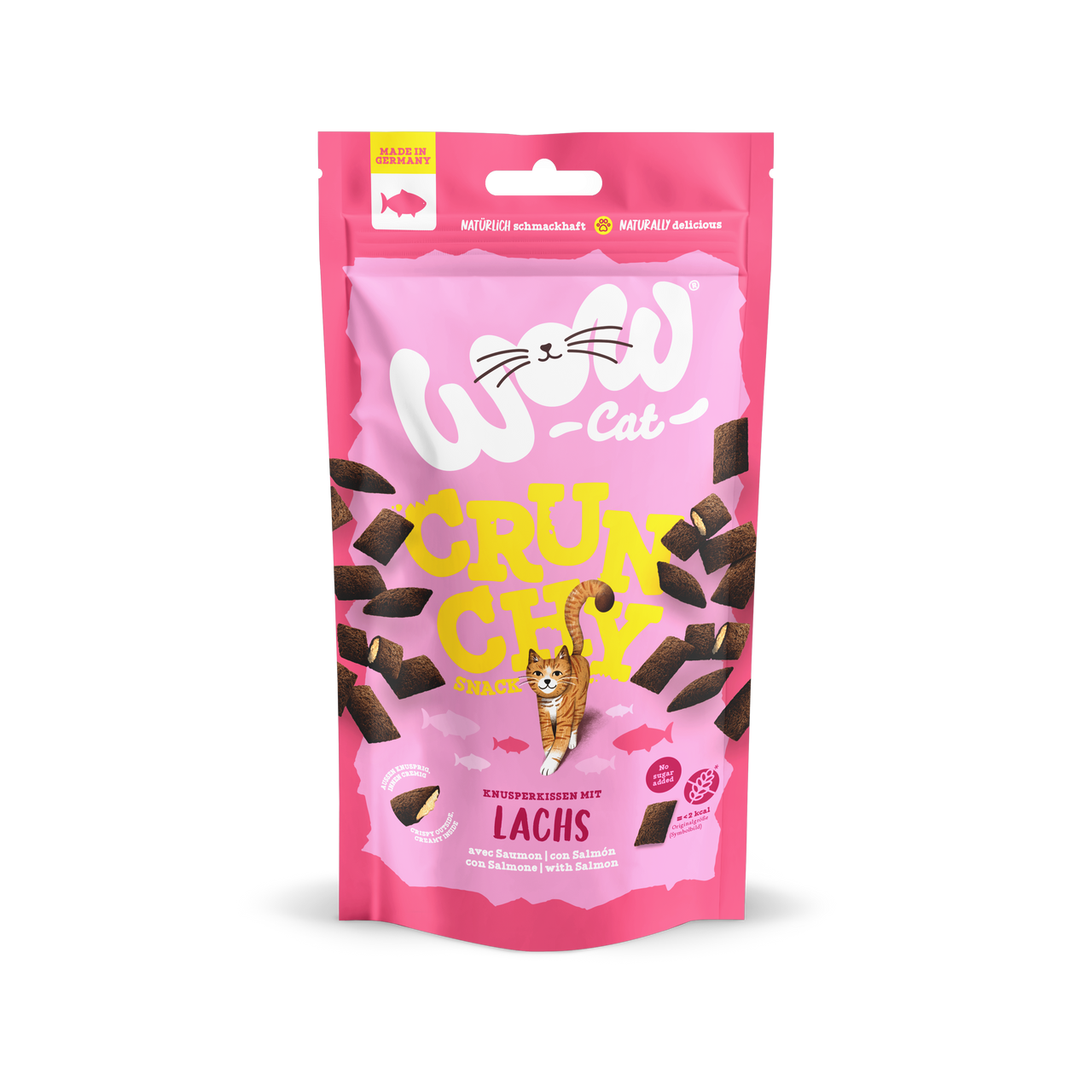 Crunchy Snack Salmon Kattgodis - 60 g