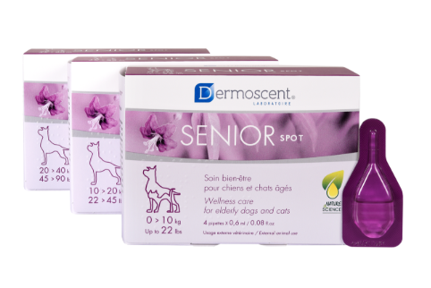 Spot-on Senior för hund - Large (4 x 2,4 ml) | Djurtyp - Hund - Hundapotek - Hudvård | DogStyle
