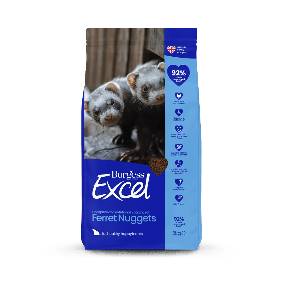 Excel Ferret Nuggets foder till iller - 2 kg