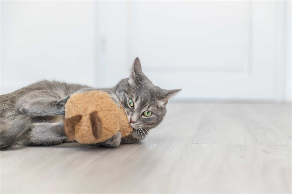 Jordnöt XXL Plysch med Kattmynta - 20 cm
