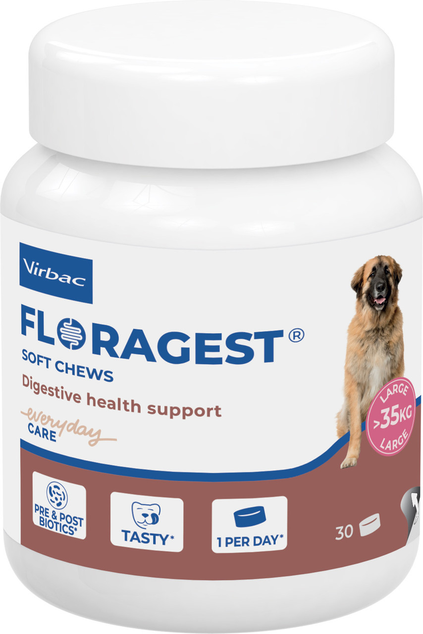 Floragest Tuggbitar Magtillskott till Hund - Large  > 35 kg (30 tab)
