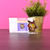 Animal Crossing: Blathers - Cross Stitch Acrylic Display Stand Blank