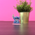 Disney: Stitch Sitting - Cross Stitch Acrylic Display Stand Blank