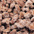 Praline Sugared Pecans Canister
