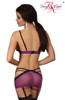 Beauty Night Sheer Bra And Mini Skirt Set Purple