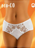  Wolbar Sheer Lace Brief  Eco-co 