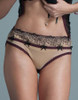 Fearless & Fun Embroidered Sheer Brief Panty
