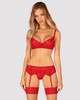 Ingridia Sexy Red Bra, Garter Belt, Thong1