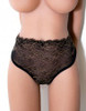 Sheer Lace Panties See Through Panties Luxurious Thin3