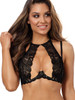 Padded bra Axami - Black Image 1