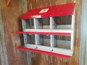 Duncan's Poultry 6 Hole Standard Nest - Made in USA! Backordered will ship after Oct. 1, 2025 Duncan's Poultry 6 Hole Standard Nest - Made in USA! Backordered will ship after Oct. 1, 2025