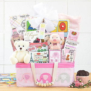 Bundle of Joy: Baby Girl Gift Basket Z954-WC-995