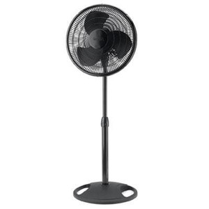 Stand Fan Blk16" Brown Box P595-2521
