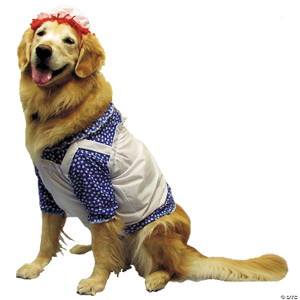 Raggedy ann dog costume lg N274-MR0112122LG