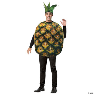 Adult pineapple costume gc6543 N274-MR01GC6543PR