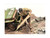"4X4 Mechanic" Figure 8 with Board Accessory for 1/18 Scale Models by American Diorama F977-AD18018