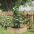 Garden Plant Supports with 4 Rings 5 pcs Green 35.4" Steel A949-319375