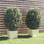 Garden Planters 2 pcs White 15.7"x15.7"x15.7" Solid Wood Pine A949-810537