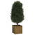 Garden Planters 2 pcs Honey Brown 19.7"x19.7"x19.7" Solid Wood Pine A949-810553