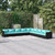 9 Piece Patio Lounge Set with Cushions Poly Rattan Black A949-3101785