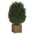 Garden Planters 2 pcs Honey Brown 15.7"x15.7"x15.7" Solid Wood Pine A949-810541