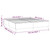 Box Spring Bed Frame Dark Gray Queen Fabric (US Only) A949-3121003