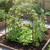 7.5 FT Tall Metal Garden Arch Trellis for Climbing Plants Outdoor-Black B593-GT4464