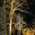 Firefly Solar mini LED Christmas lights on String K290-1193667824