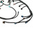 ???????? Stand Alone Wiring Harness For Ls Truck W/ T56 Th350 Th400 36" 1999 2000 -2006 T575-S0671435391