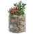 Circular Gabion Pole Galvanized Steel 19.7"x19.7 A949-152015